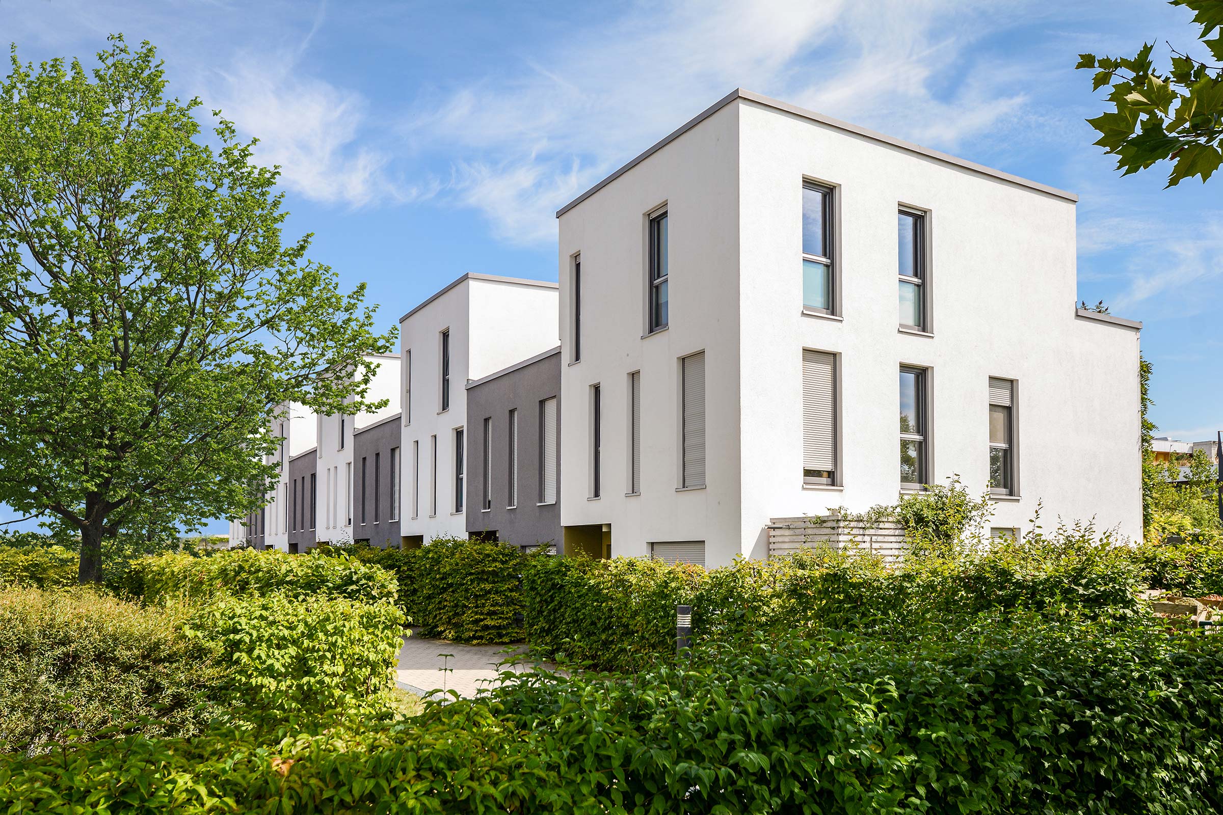 Moderne Reihenhäuser mit Flachdach, umgeben von grünen Büschen und Bäumen unter blauem Himmel.